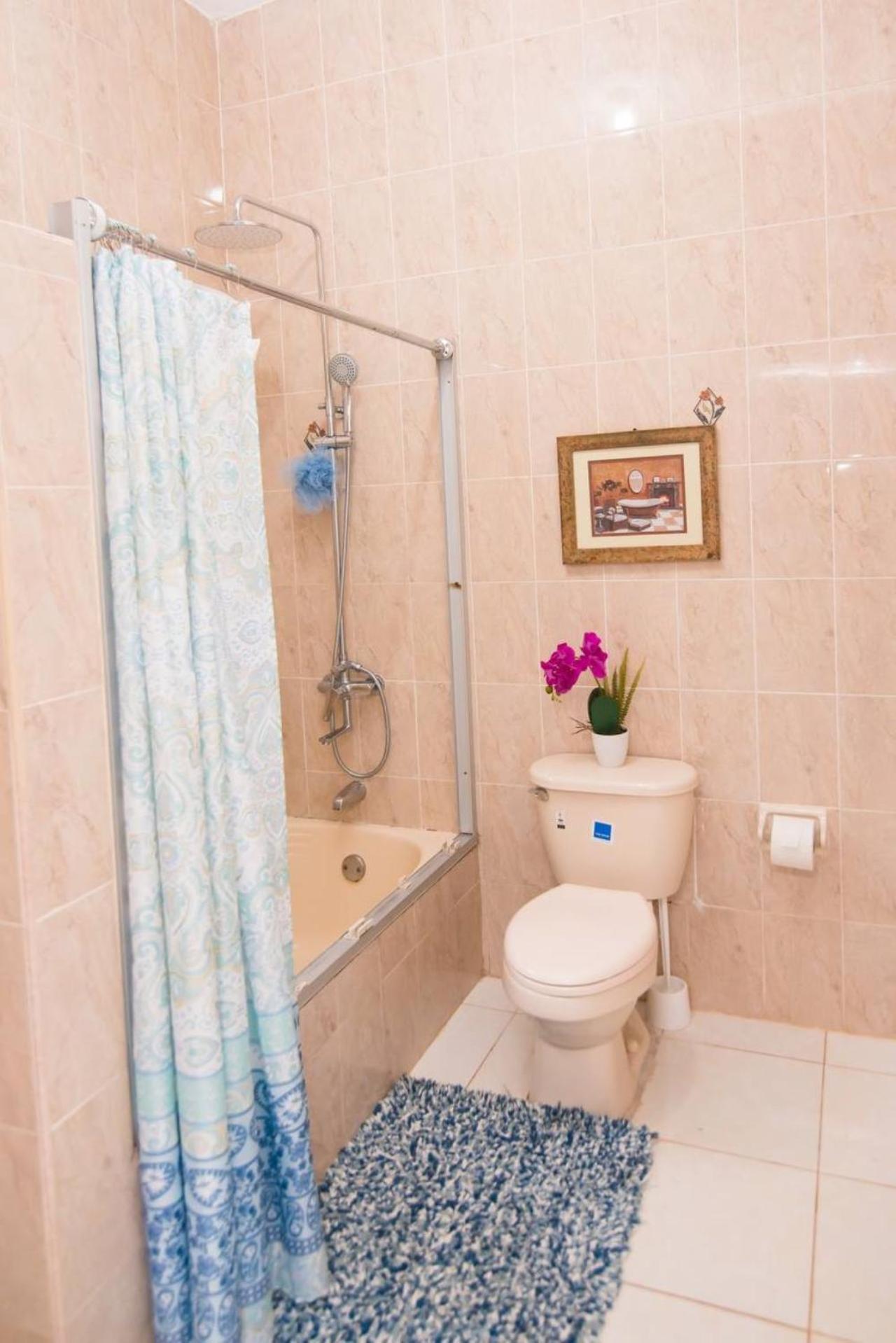 Suzette Guesthouse Accommodations Saint Maryʼs 外观 照片